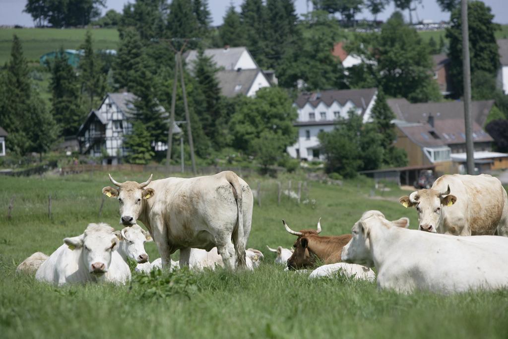 Schultenhof Balve Zewnętrze zdjęcie